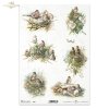 ptak, gniazdo, gniazdko, w gnieździe, R857, bird, nest, Vogel, Nest, pájaro, nido